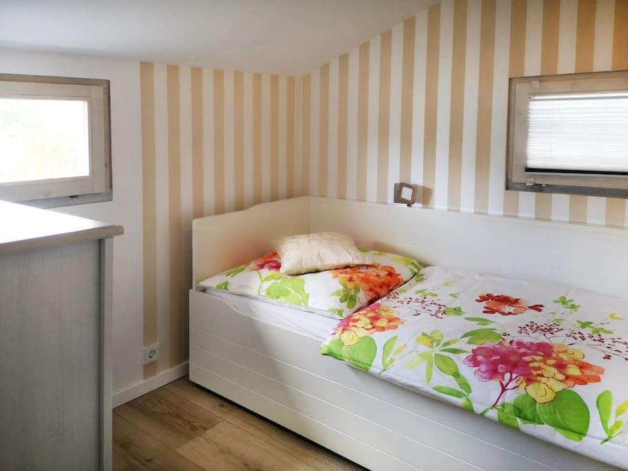 Haus Julia Direkt Am Hennesee Mitten Im Sauerland 메체데 외부 사진