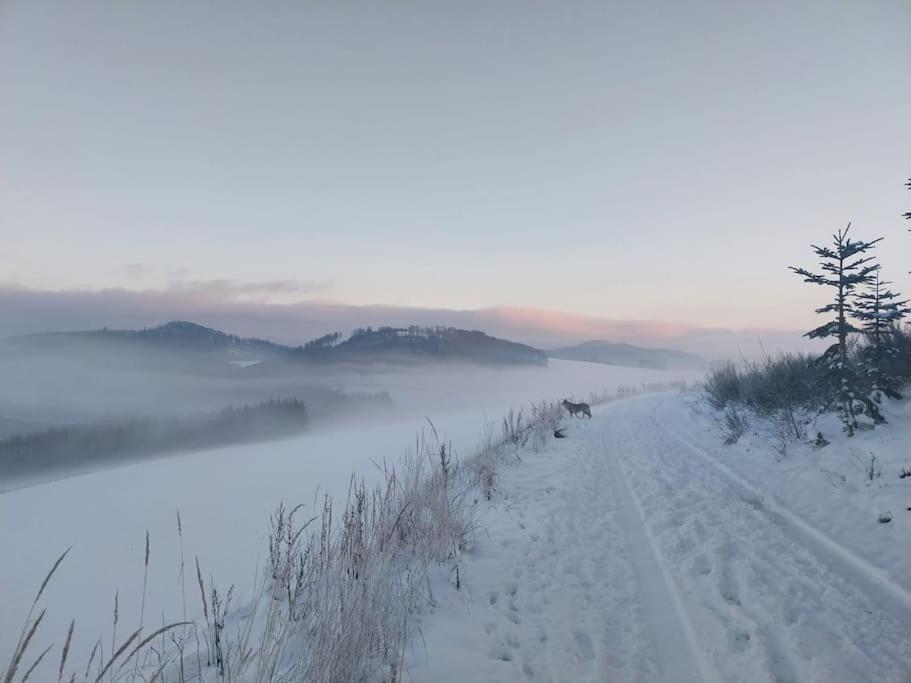 Haus Julia Direkt Am Hennesee Mitten Im Sauerland 메체데 외부 사진