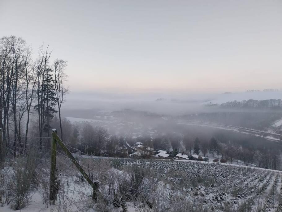 Haus Julia Direkt Am Hennesee Mitten Im Sauerland 메체데 외부 사진