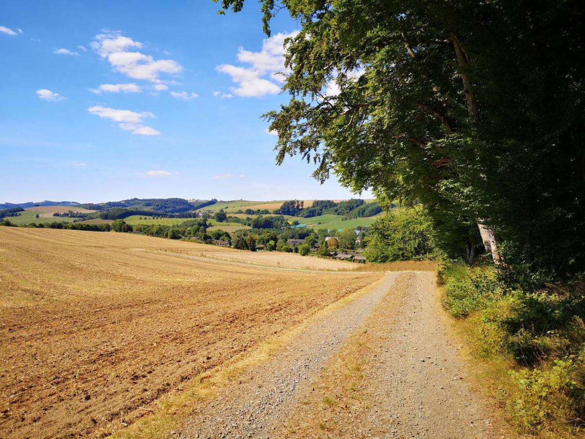 Haus Julia Direkt Am Hennesee Mitten Im Sauerland 메체데 외부 사진
